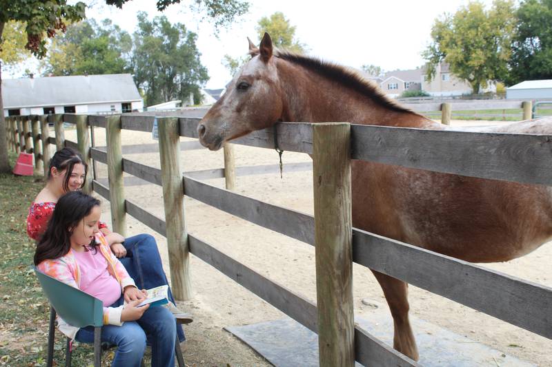Grace Garcia reads a book to horse Sweet Potato with her sister Camilla Stewart during the Hooved Animal Humane Society's Rescue Readers program in partnership with the Woodstock Public Library.