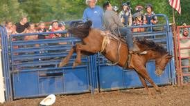 Committee looking for members to build horse barn at Ogle County fairgrounds