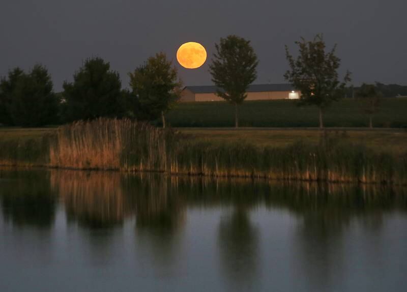 A full supermoon shines over the lake at Zearing Park on Wednesday, Aug. 30, 2023 in Princeton. A supermoon occurs when the moon is it's closest point in it's orbit around Earth. During this occurrence, the moon looks slightly larger-than-it's usual appearance. According to NASA, this supermoon was 222,043 miles from Earth or 17,000 miles closer than the average normal full moon.The first full Moon came on August 2 and the second one on August 30.