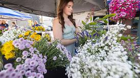 Photos: 2024 Dixon City Market