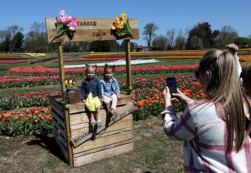 Kayla Sarbia photographs her daughters,  Breckyn, 2, Karsyn,1, during the Earth Day opening of the  Richardson Farm Tulip Festival on Wednesday, April 22. More than 1 million vibrant flowers in over 75 varieties will be in bloom. About 350,000 new tulip bulbs were planted in the fall of 2025 in a butterfly pattern near a private lake on the property, said George Richardson. Hours are 10 a.m. to 6:30 p.m. The festival typically lasts for two to three weeks, depending on the blooms.