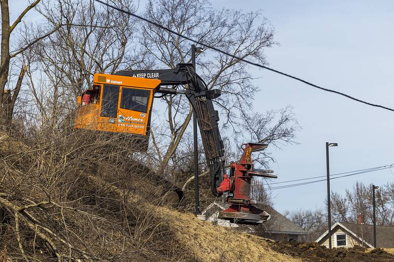 Trees and brush are removed at Page Park Tuesday, March 11, 2025, for Project Rock in Dixon.
