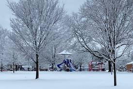 Photos: Snow falls on McHenry County