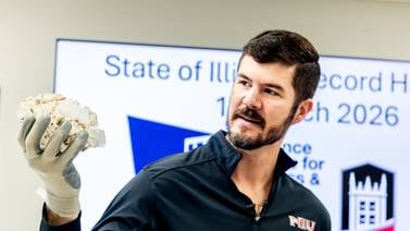 Hail from Kankakee storm likely breaks state record: ‘Size of a mini Nerf football’ says NIU meteorologist