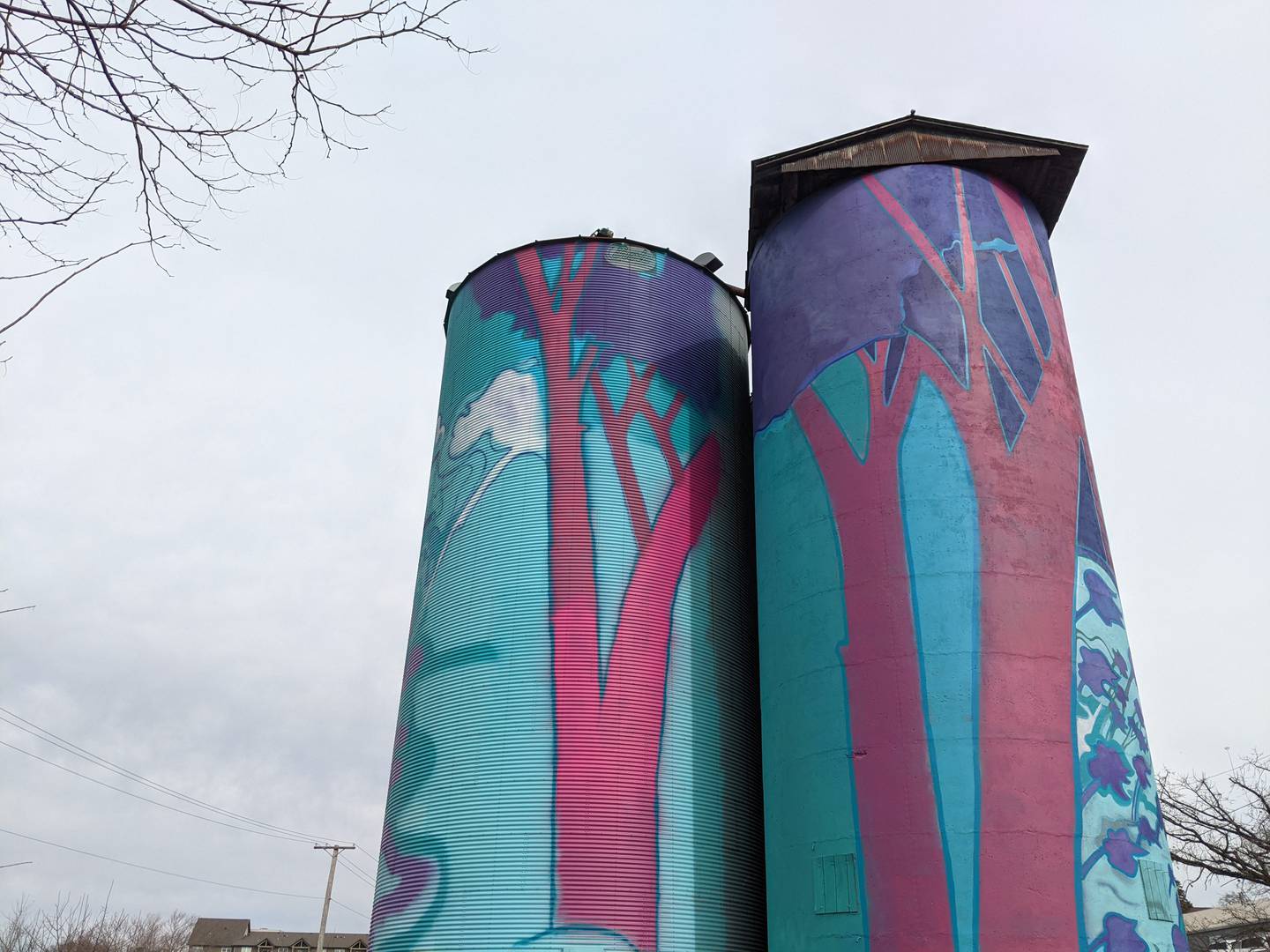 A project to transform three vacant silos in downtown Oswego into a mural project was recently finished. The silos are located on Adams Street near Van Buren Street.