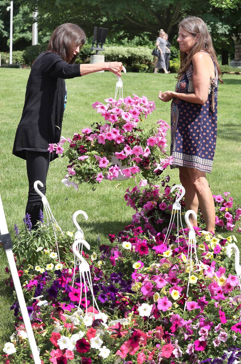 Lisa Buffenbarger, (left) from DeKalb, and Michelle Copple, from Sycamore, look at flowers at the Roden's Elegant Gardens booth Tuesday, June 7, 2022, at the Sycamore Farmers Market on the lawn of the DeKalb County Courthouse.