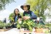 Firmly planted in Lake County, Master Gardener program expands