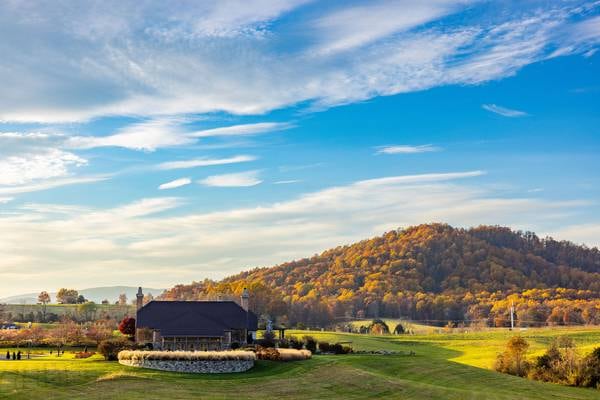 Uncorked: Early Mountain’s Quaker Run Vineyard Defies the Odds