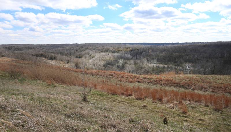 A view of one of the valleys in part of the Matthiessen Annex area on Wednesday, March 27, 2024 near Oglesby. In October 2018, the Illinois Department of Natural Resources purchased 2,628 acres from Lone Star Industries Inc. near Oglesby, Illinois in rural LaSalle County. This
formerly mined property is adjacent to Matthiessen State Park and is now referred to as the Matthiessen Annex property. In its reclaimed state, this property will provide recreational opportunities, as well as habitat and public access to the Illinois River and Bailey Creek.