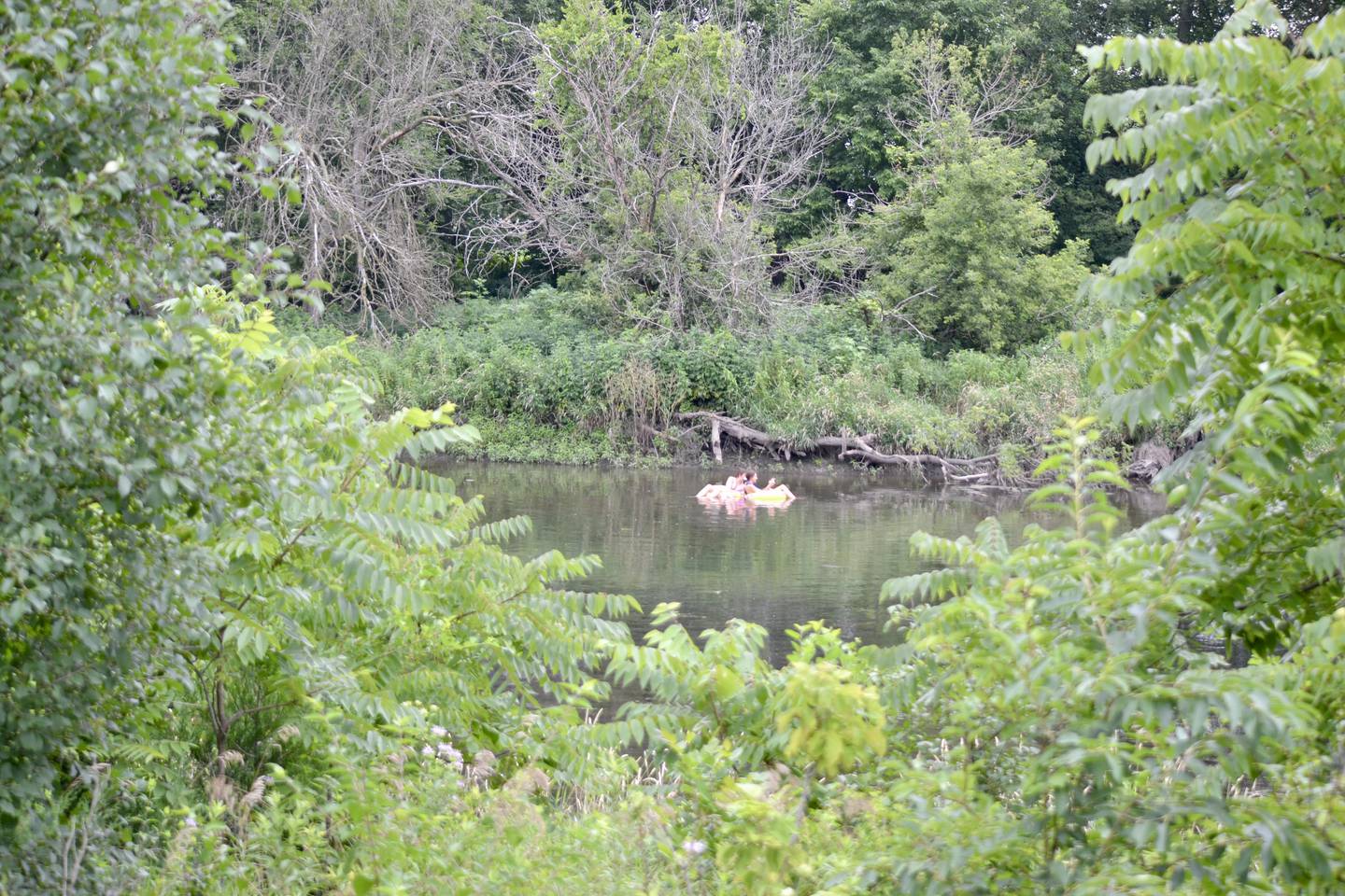 Plainfield, DuPage River, recreation, Illinois Department of Natural Resources