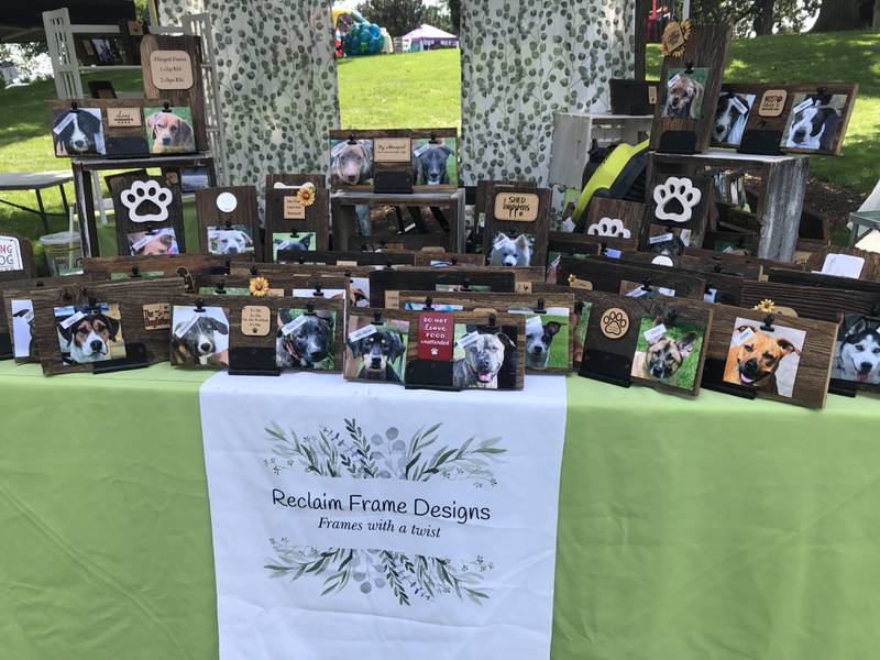 Photos of animals available for adoption on display at Pawfest in Huntley Aug. 3, 2024.