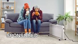 What to Do if Your Furnace Stops Working During a Cold Snap