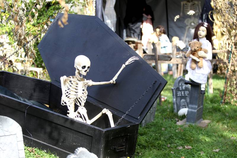 Tommy Nybo has an expansive Halloween display in the front yard of his Downers Grove home.
