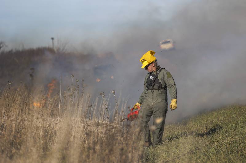 Jacob Churulo uses a drip torch to ignite the eastern side of the planned burn at Nachusa Tuesday, Nov. 14, 2023.