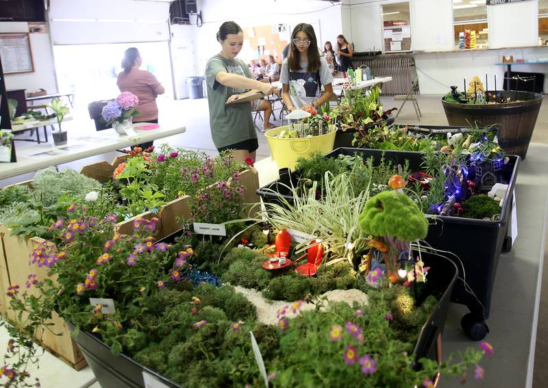 Christine Migliorini judges Ava Espinoza's floriculture project during the Bureau County 4-H Fair on Thursday, July 10, 2025 at the Bureau County Fairgrounds in Princeton.