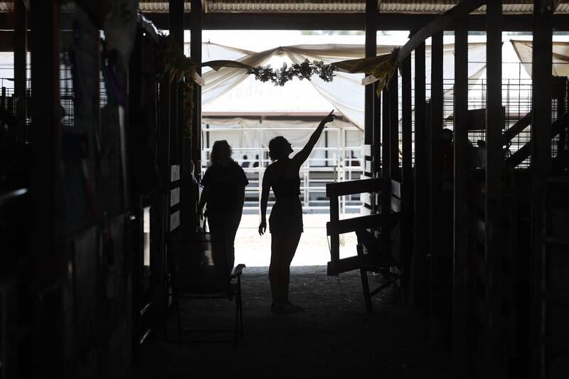 A couple walks through the horse stables at the Will County Fair on Sunday, August 25, 2024 in Peotone.