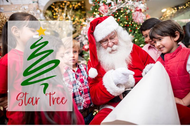 Youth Service Bureau of IL Valley - Bring Holiday Joy to a Child Through Star Tree:  Sponsor a Wish List and Spread Christmas Cheer!