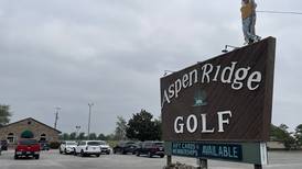 Bradley amusement tax questioned