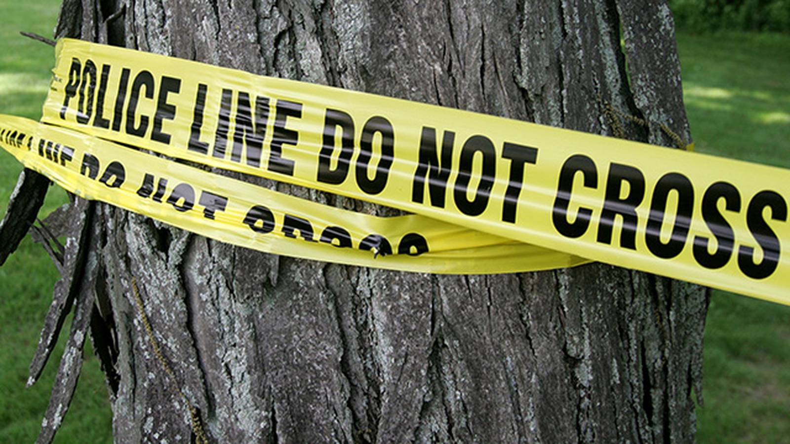 Drugs involved in fatal Berwyn shooting police Shaw Local