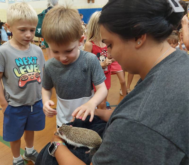 Children pet the African pygmy hedgehog Thursday, July 27, 2023, during a meet-and-greet session with the animals after the Incredible Bats program at the Ottawa YMCA.