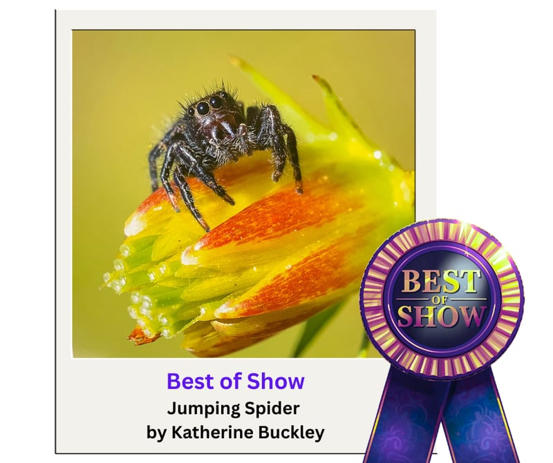 The title of Best of Show in this year's 2025 Starved Rock Photography Show goes to Katherine Buckley of Oglesby. An awards ceremony will be Jan. 3, 2026.