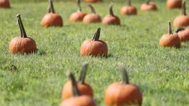 Harmon church to host fall bazaar Sept. 28