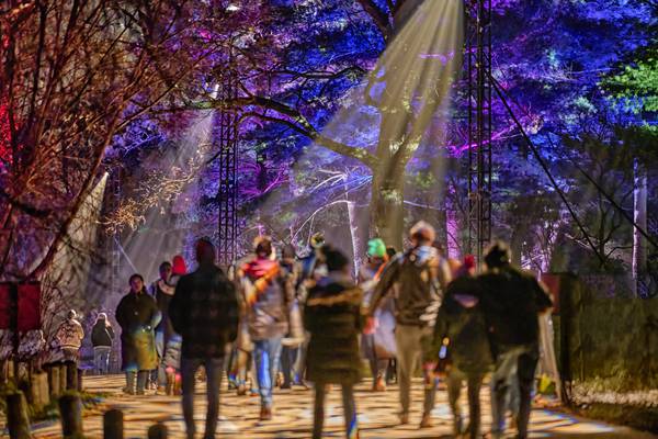5 Things to Do: New Year’s Eve events, last chance for holiday light shows