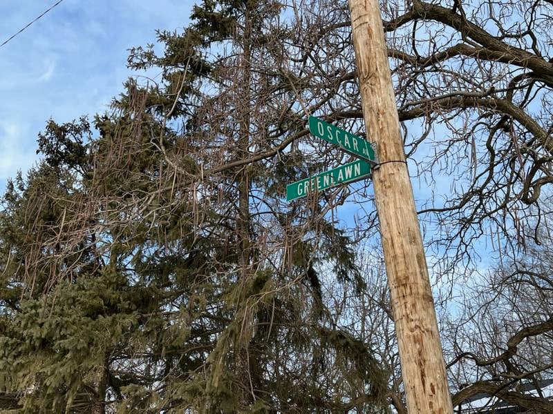 Signs for Oscar Avenue and Greenlawn Street in Joliet Township. Todd Taylor, 42, was fatally shot in the 100 block of Oscar Avenue on Saturday, Jan. 29, 2022.