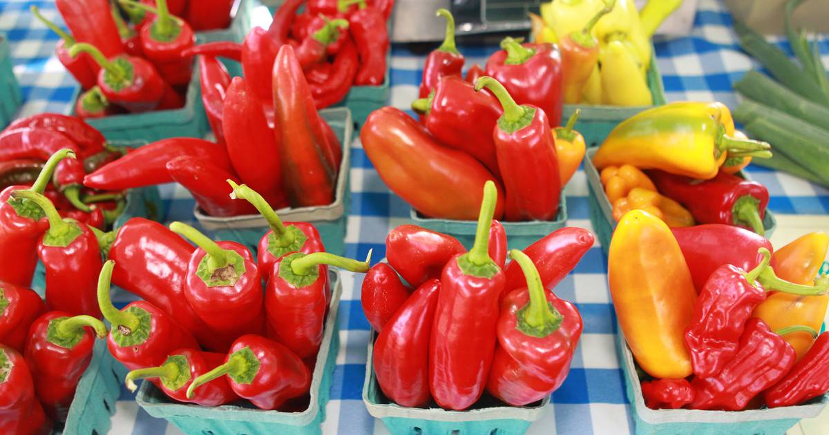 Eyes on Enterprise Ottawa store hosts farmers market Shaw Local