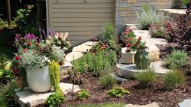 Pottawatomie Garden Club’s roots go deep
