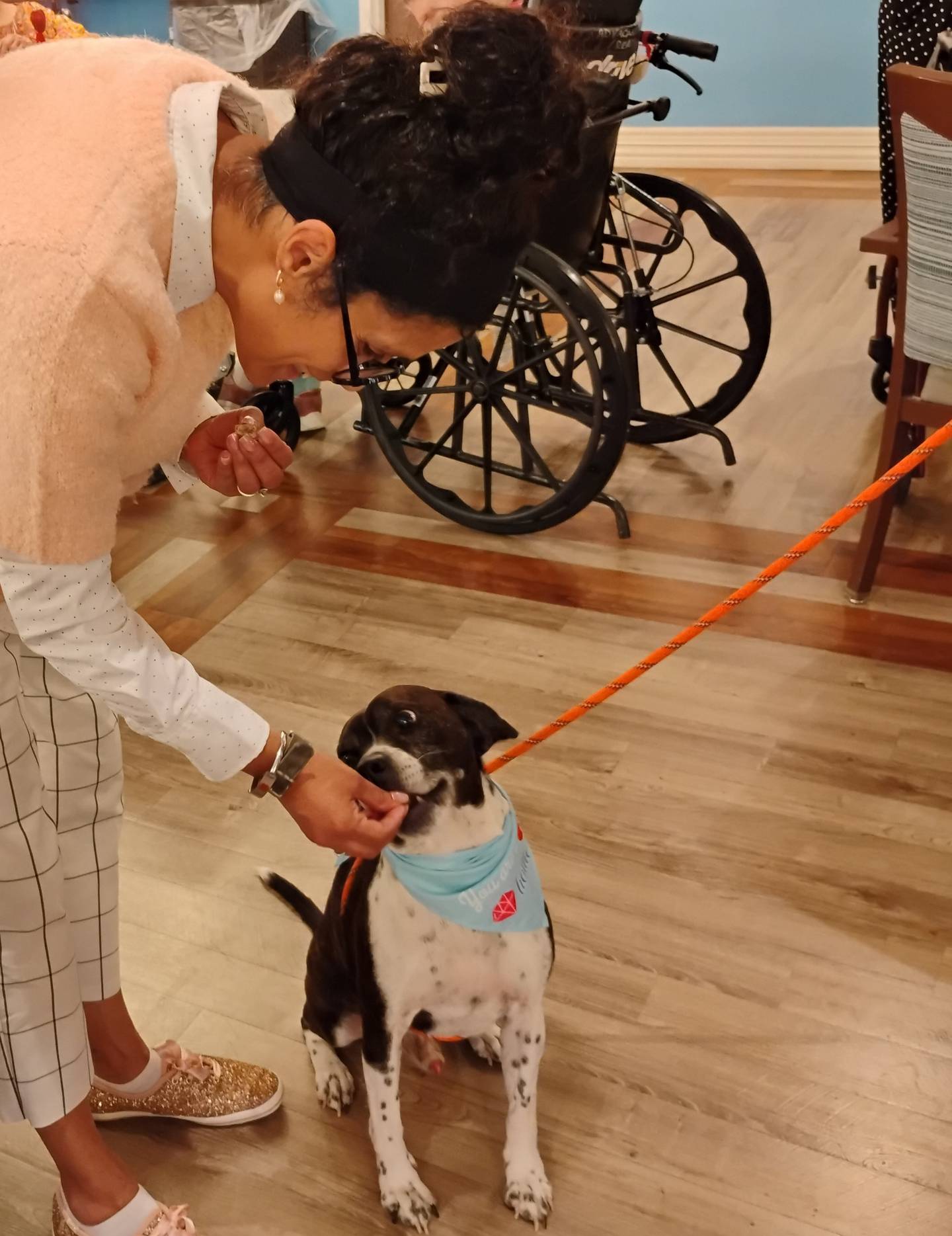 Peter, a boggle – that is, a boxer-beagle mix – gets a treat from Bria of Geneva Activity Director Alice Ruffolo on Friday, Feb. 13, 2026. DePAW Pet Resort in Geneva brought dogs to visit the nursing home residents.