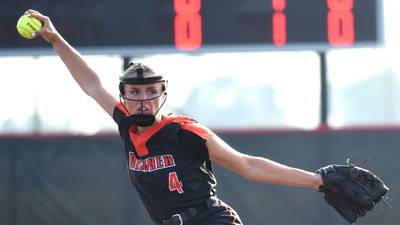 Photos: Beecher vs. Auburn, Class 2A State semifinal softball