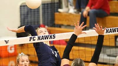 Girls volleyball: Fieldcrest falls in straight sets to Illinois Valley Central in 2A sectional championship