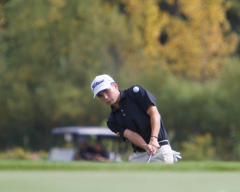 Batavia's Ryan Augustine chips the ball at the Class 3A St. Charles North Regional on Wednesday, Oct. 1, 2025 at Bowes Creek Country Club in Elgin.