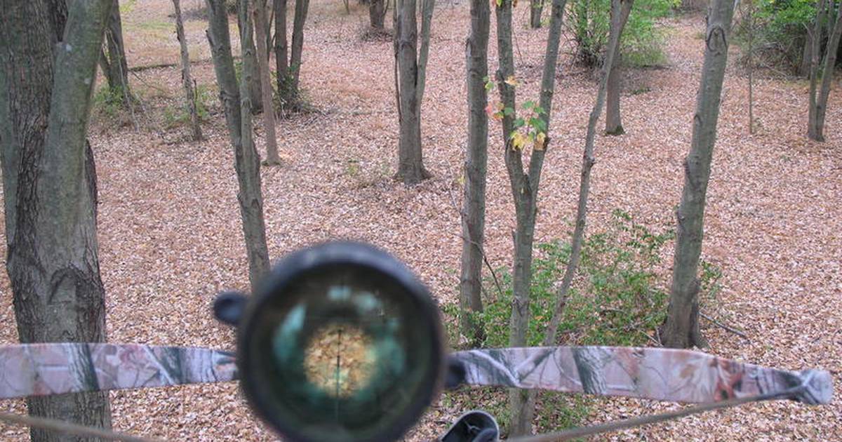 New law allows hunters to use crossbows during season Shaw Local