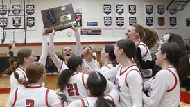 Photos: Huntley vs.Libertyville, IHSA Class 4A Huntley Sectional Championship girls basketball