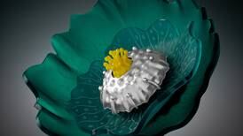 Artist of the Month Lisa Dienst-Thomas uses metalsmithing to create her art