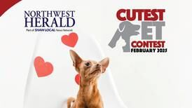 McHenry County's February Cutest Pet Contest