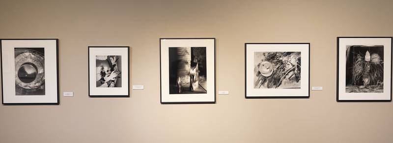 Les Allen's art will be exhibited at Sauk Valley Community College until Nov. 20.