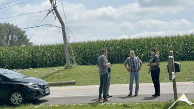 Photos: Cropdusting plane crashes in Ogle County