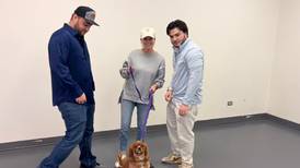 Vinnie’s day out: Shaw Local reporter’s dog tries out Underdog Academy in Algonquin