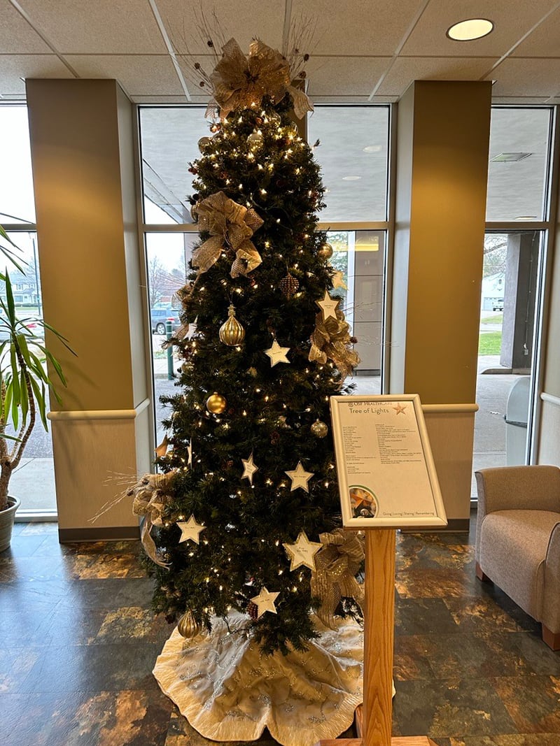 The OSF HealthCare Saint Clare Medical Center Tree of Lights campaign in Princeton is underway.
