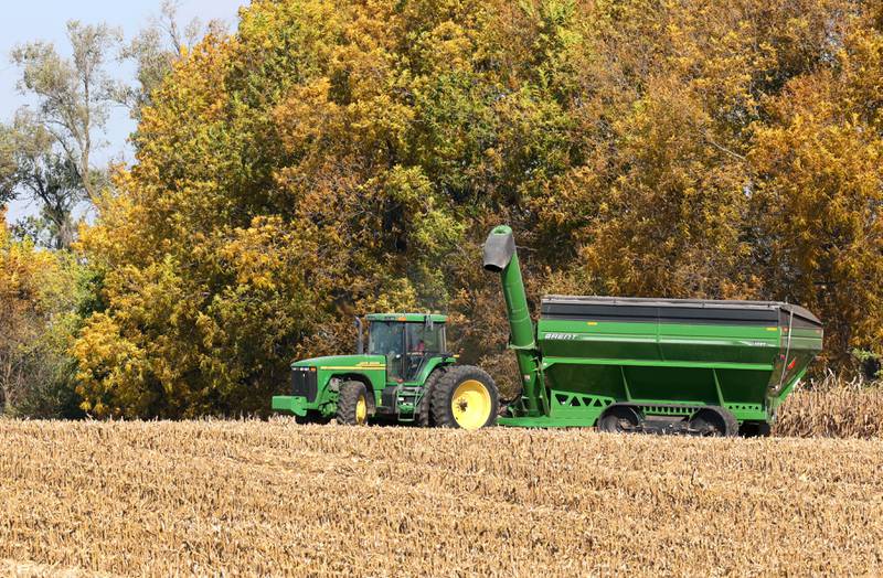 A farmer harvests his corn next to colorful trees Tuesday, Oct. 24, 2023, on Keslinger Road south of DeKalb.