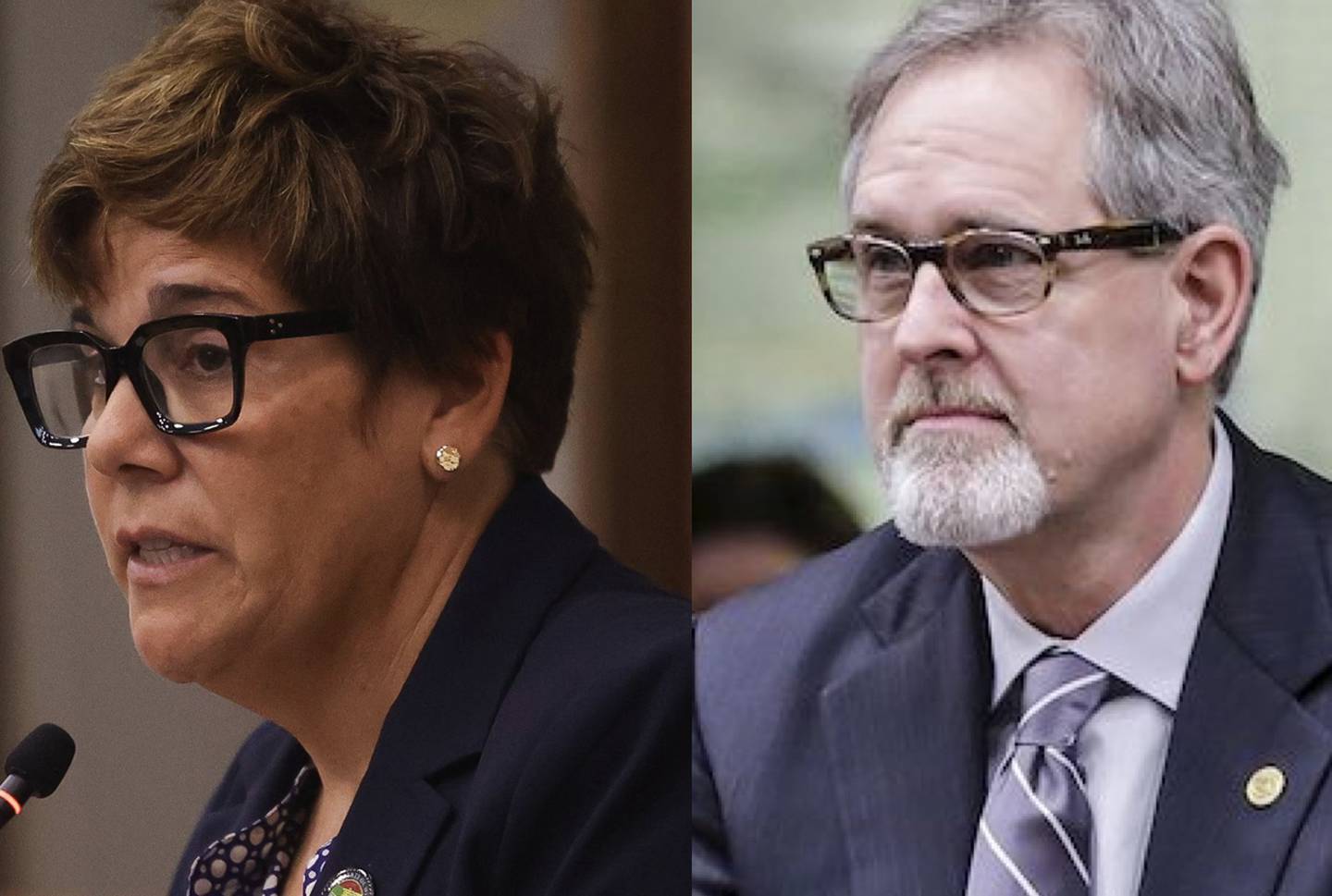Will County Executive Jennifer Bertino-Tarrant (left) and Charles "Chuck" Maher, a former Will County Board member.