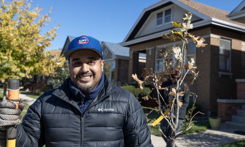 Berwyn’s 5th Ward Alderman, Rob Pabon  joins The Berwyn Tree Canopy in planting more trees in Berwyn through a Tree Planters grant offered by Open Lands on Saturday, October 15, 2022.