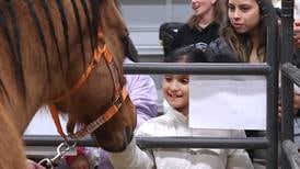 Photos: DeKalb Future Farmers of America celebrates National FFA Week with barnyard zoo