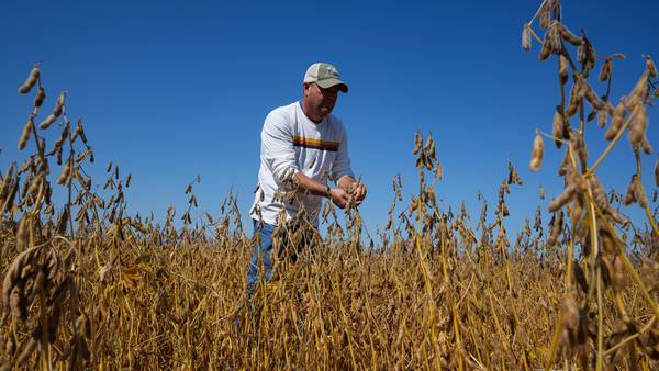 Eye On Illinois: Soybeans, gray area and consumers feeling the squeeze of a tax on leased equipment