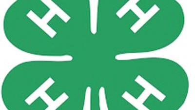 Kids can explore life as a veterinarian at 4-H workshop in Rock Falls