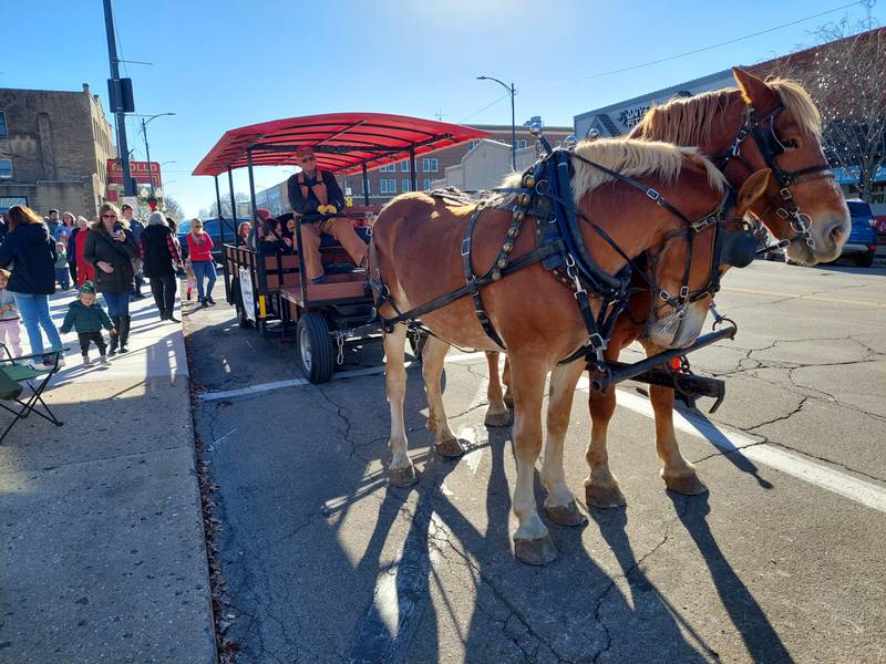 Horse carriage rides were part of the fun Saturday, Nov. 18, 2023, during the Christmas Walk on Main Street in Princeton.