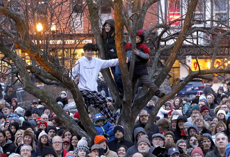 People watch from a tree on Friday, Feb. 2, 2024, during the annual Groundhog Day Prognostication on the Woodstock Square.